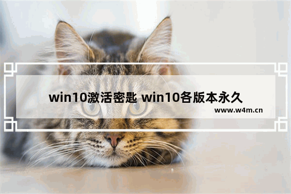 win10激活密匙 win10各版本永久激活,最新win10专业版激活密钥