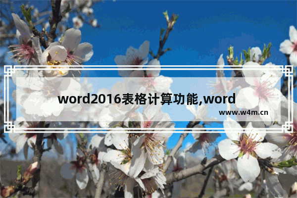 word2016表格计算功能,word 计算功能