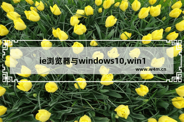 ie浏览器与windows10,win10自带浏览器和ie浏览器区别