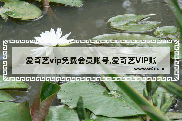 爱奇艺vip免费会员账号,爱奇艺VIP账号分享_3