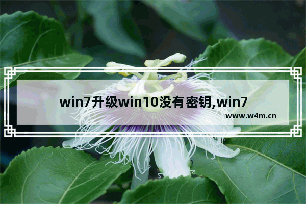 win7升级win10没有密钥,win7升级10无法验证产品密钥