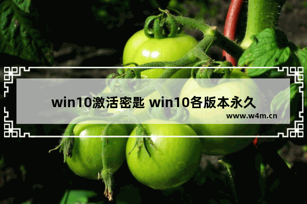 win10激活密匙 win10各版本永久激活,最新win10专业版激活密钥