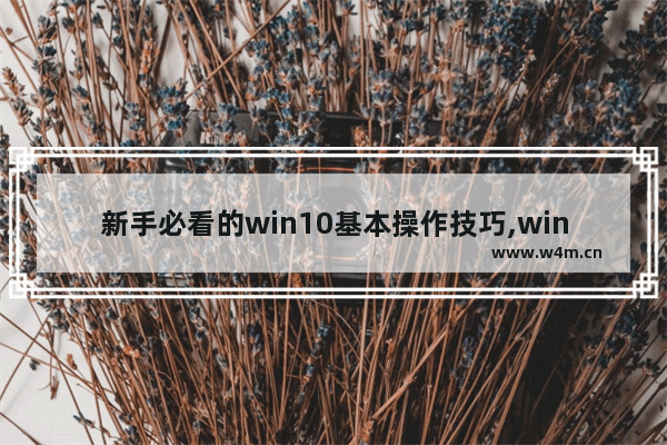 新手必看的win10基本操作技巧,win10常用小技巧_1