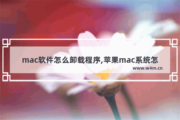 mac软件怎么卸载程序,苹果mac系统怎么卸载软件