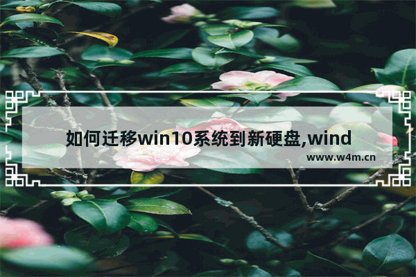 如何迁移win10系统到新硬盘,windows系统迁移到新硬盘