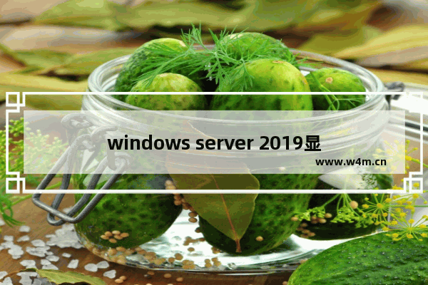 windows server 2019显卡驱动,windows server 2019 驱动