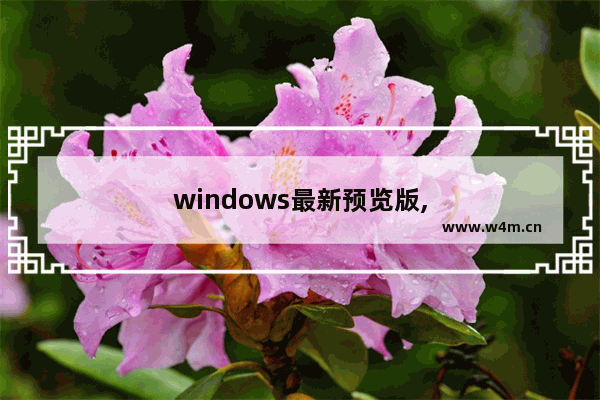 windows最新预览版,