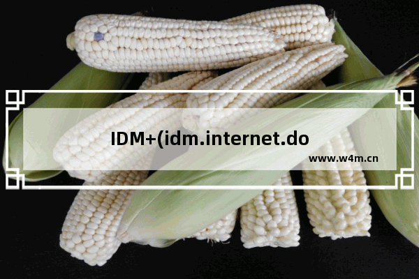 IDM+(idm.internet.download.manager.plus),idm.internet.download.manager.plus