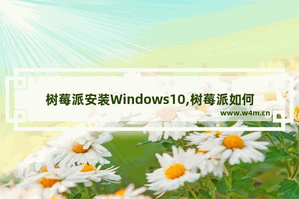 树莓派安装Windows10,树莓派如何安装windows