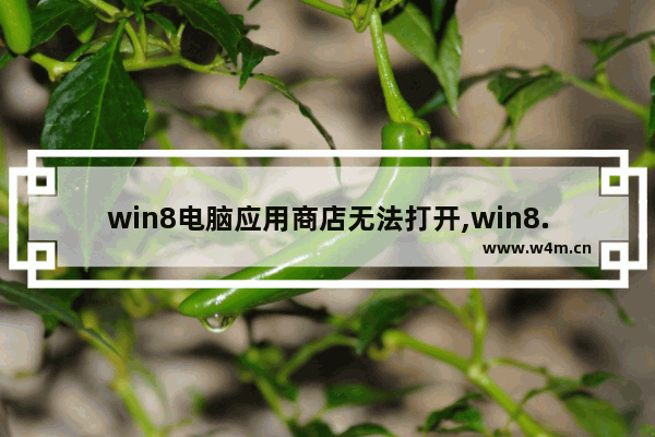 win8电脑应用商店无法打开,win8.1无法打开应用商店