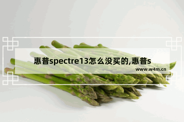 惠普spectre13怎么没买的,惠普spectre13使用感受