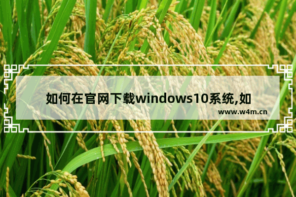 如何在官网下载windows10系统,如何在官网上下载win10操作系统