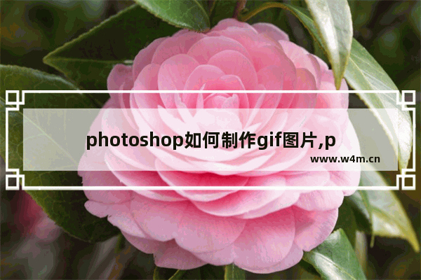 photoshop如何制作gif图片,ps中怎么制作gif动图