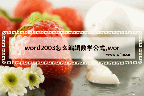 word2003怎么编辑数学公式,word2003怎么输入运算公式