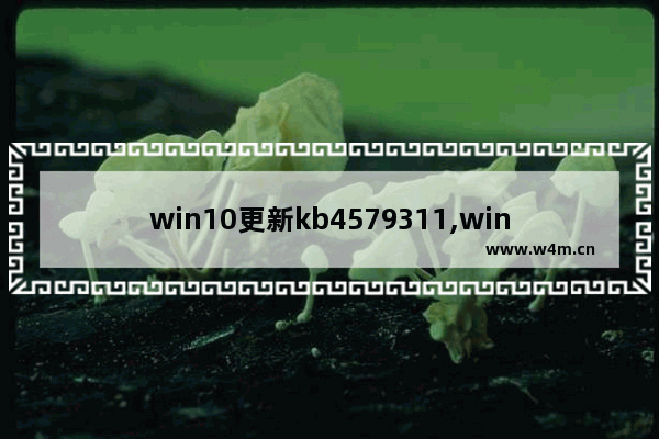 win10更新kb4579311,win10更新kb4601319