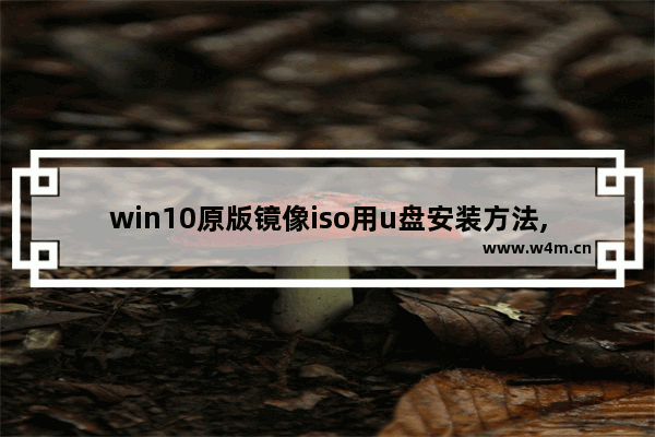 win10原版镜像iso用u盘安装方法,下载win10光盘映像(iso文件)如何安装