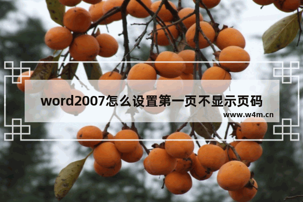 word2007怎么设置第一页不显示页码,Word第一页不显示页码