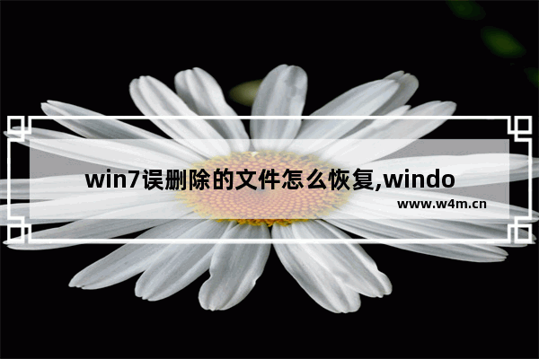 win7误删除的文件怎么恢复,windows7被删除的文件怎么恢复