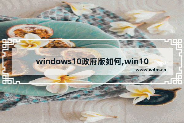 windows10政府版如何,win10系统政府版可以家用吗