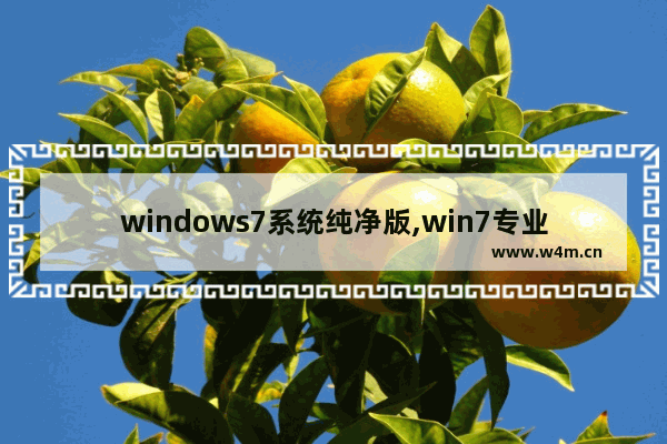 windows7系统纯净版,win7专业版纯净版