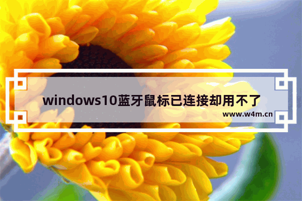 windows10蓝牙鼠标已连接却用不了,win10无法连接蓝牙鼠标怎么办