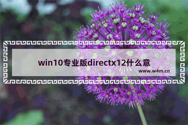 win10专业版directx12什么意思,windows10 directx