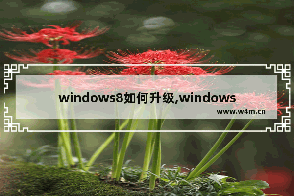 windows8如何升级,windows8系统升级windows 10怎么操作-