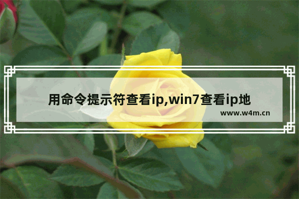 用命令提示符查看ip,win7查看ip地址指令