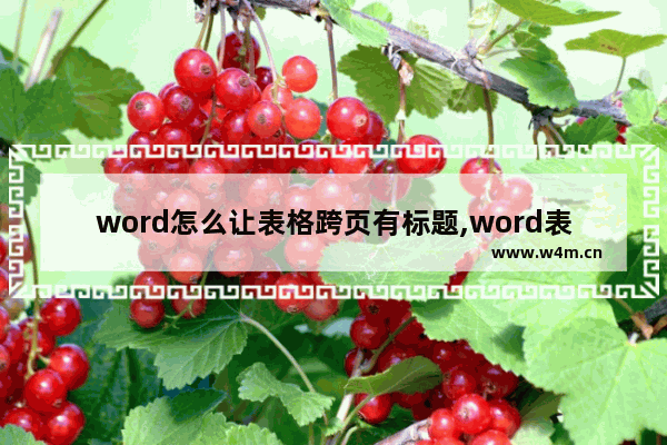 word怎么让表格跨页有标题,word表格标题