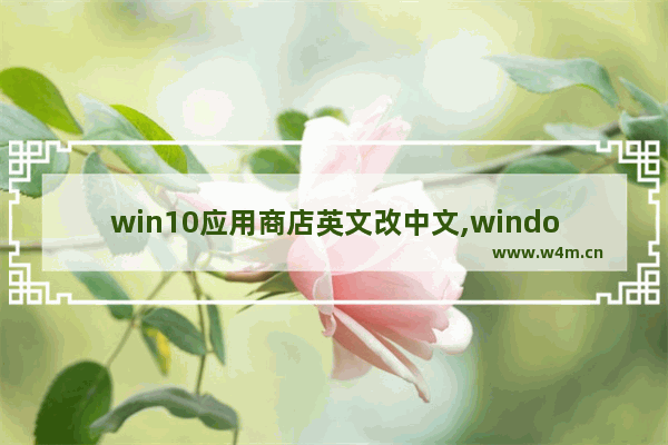 win10应用商店英文改中文,window10的应用商店怎么调中文