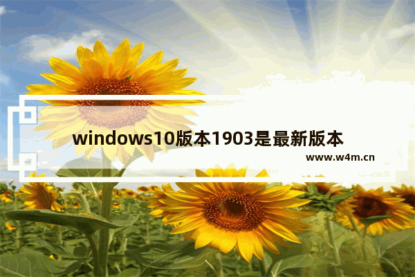 windows10版本1903是最新版本吗,win10出了1903版了,众多新旧版本中哪个好