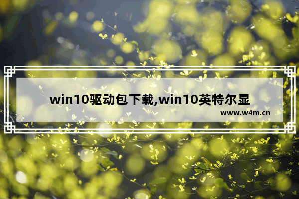 win10驱动包下载,win10英特尔显卡驱动下载