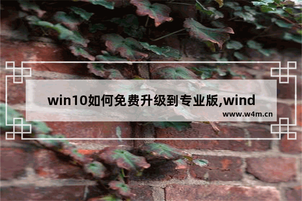 win10如何免费升级到专业版,windows10升级到专业版好吗