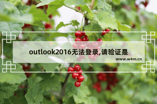 outlook2016无法登录,请验证是否已连接到网络,outlook现在无法连接,请检查您的网络,然后再试