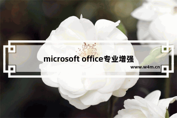 microsoft office专业增强版2019激活工具,microsoft office2020激活