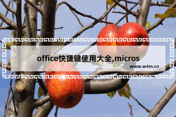 office快捷键使用大全,microsoft office Excel快捷键