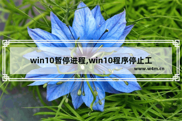 win10暂停进程,win10程序停止工作的解决办法