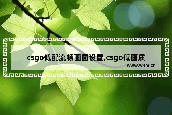 csgo低配流畅画面设置,csgo低画质设置