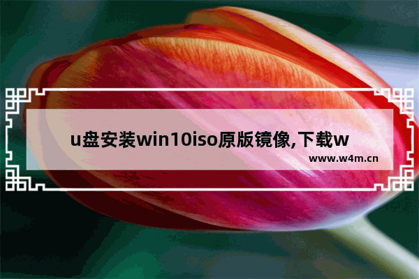 u盘安装win10iso原版镜像,下载win10光盘映像iso文件如何u盘安装