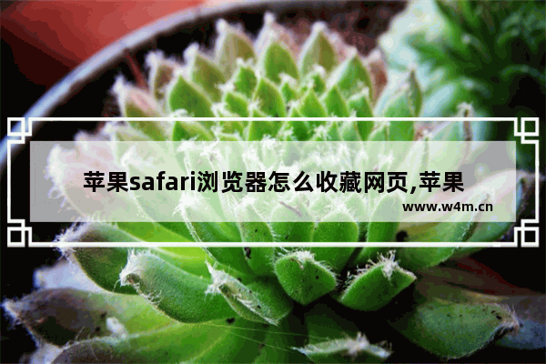 苹果safari浏览器怎么收藏网页,苹果手机safari浏览器怎么收藏网页