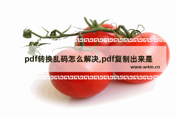 pdf转换乱码怎么解决,pdf复制出来是乱码怎么解决