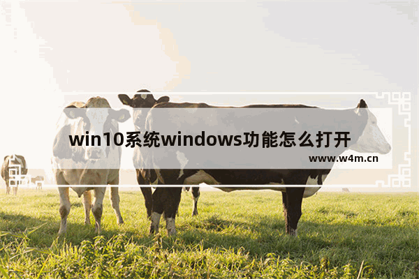 win10系统windows功能怎么打开,如何打开win10系统设置