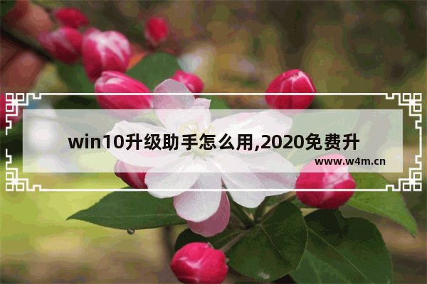 win10升级助手怎么用,2020免费升级win10方法