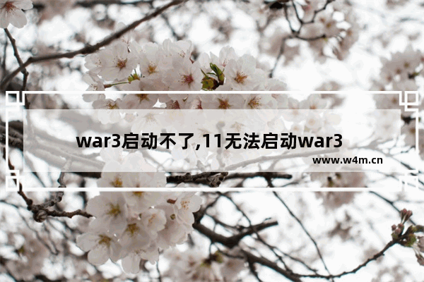 war3启动不了,11无法启动war3 有war3