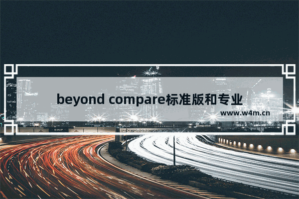 beyond compare标准版和专业版,beyond compare 绿色版