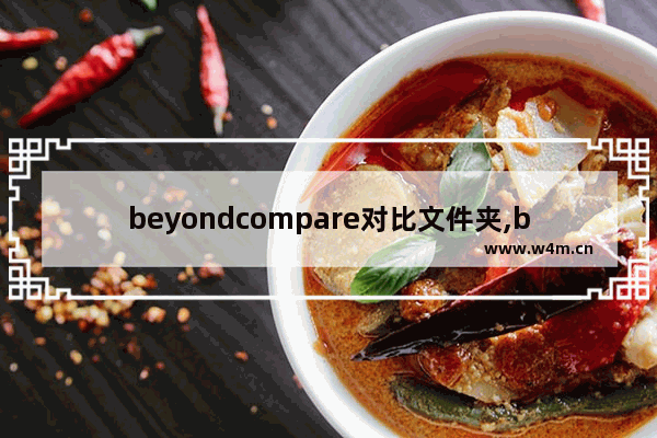 beyondcompare对比文件夹,beyond compare使用