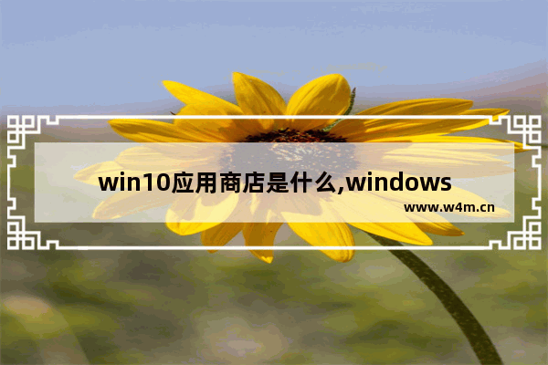 win10应用商店是什么,windows10自带的应用商店