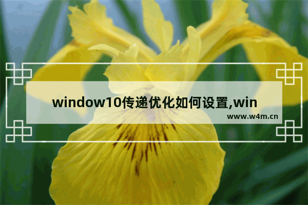 window10传递优化如何设置,win10更新下载速度