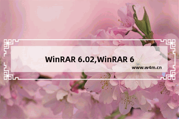 WinRAR 6.02,WinRAR 6.01