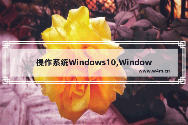 操作系统Windows10,Windows10系统之家